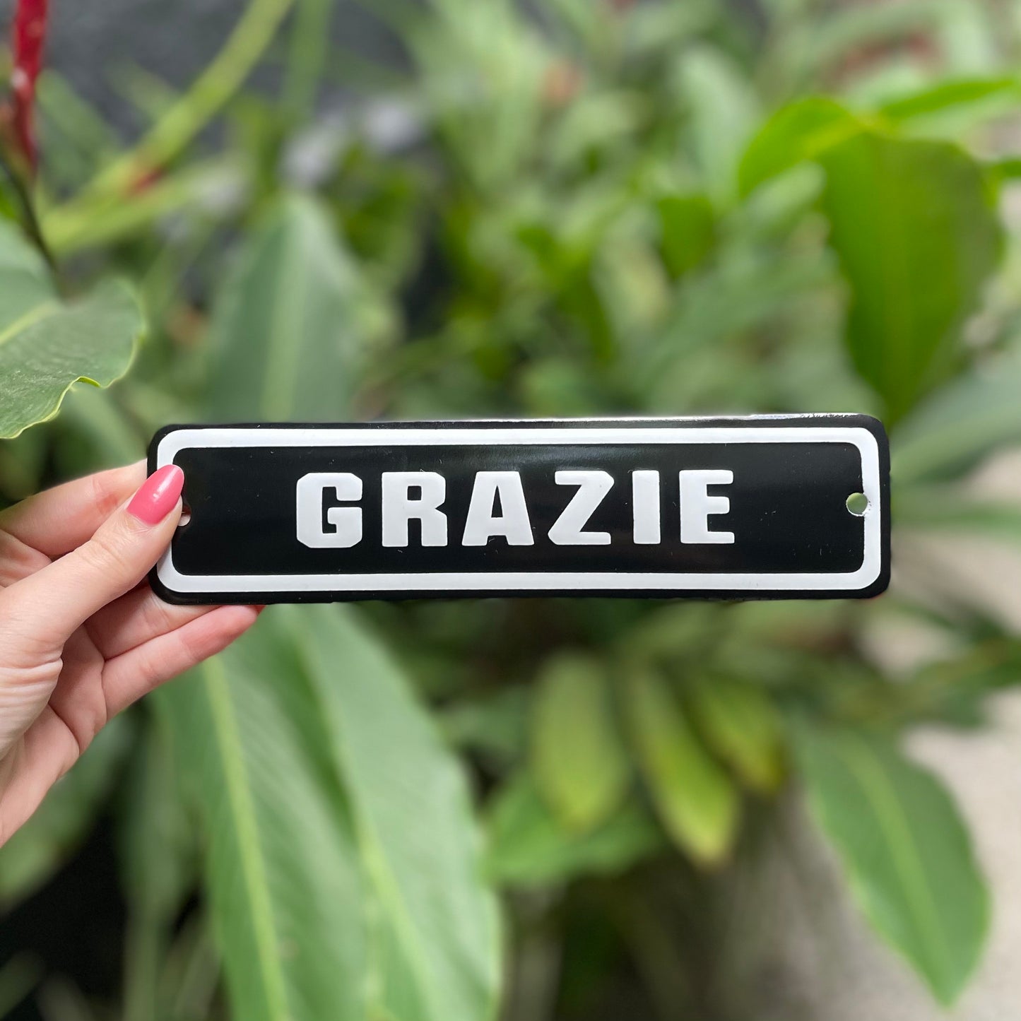 PLACA DE FERRO - GRAZIE