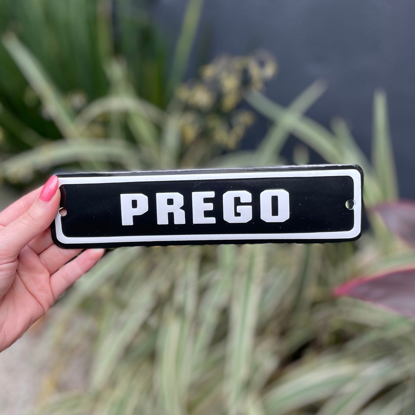 PLACA DE FERRO - PREGO