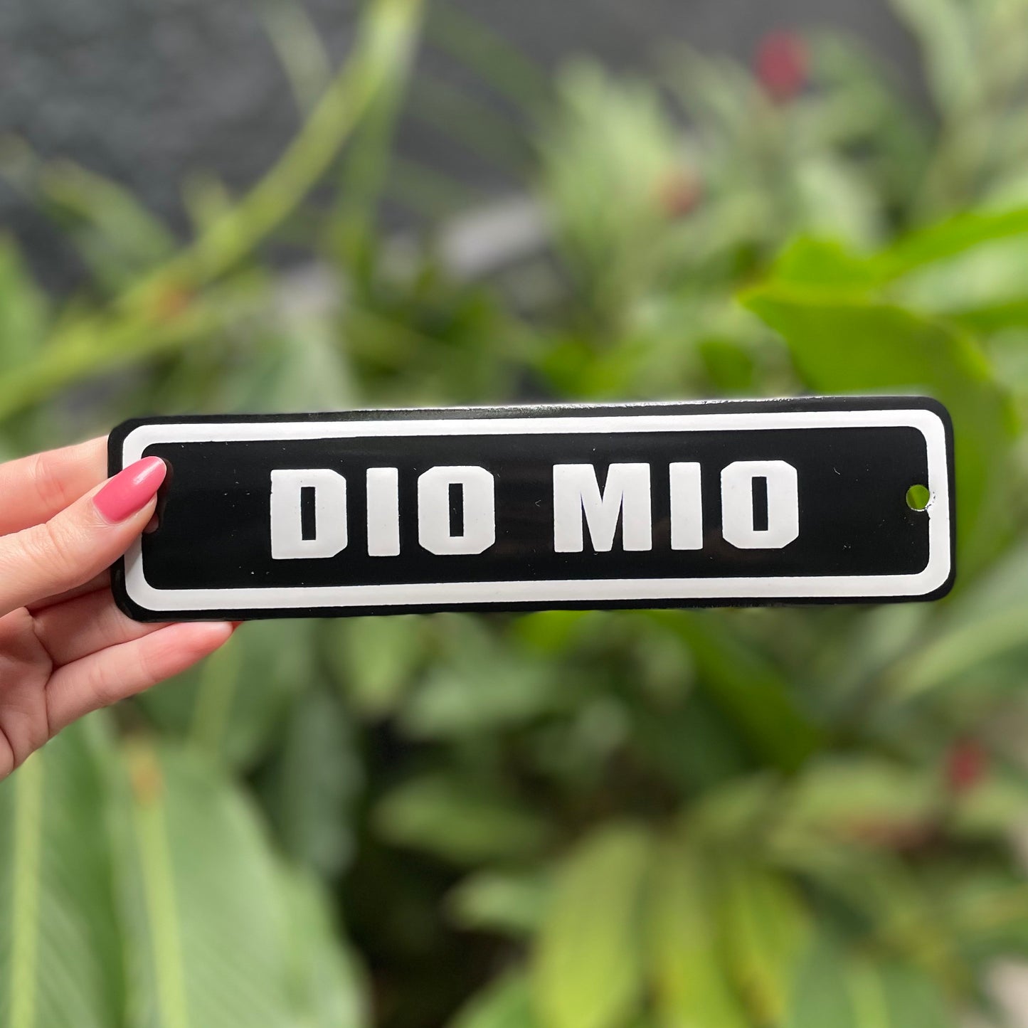 PLACA DE FERRO - DIO MIO