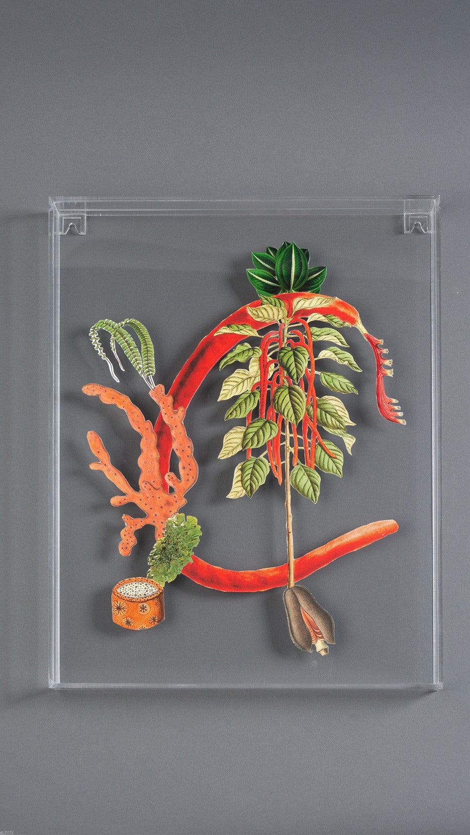 QUADRO FORMA HÍBRIDAS G