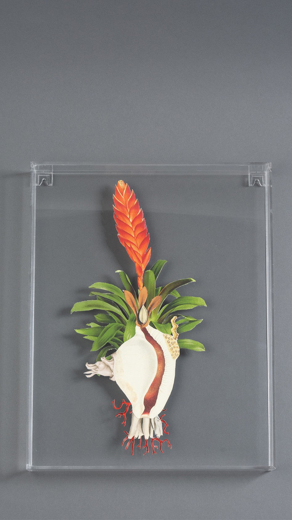 QUADRO FORMA HÍBRIDAS G