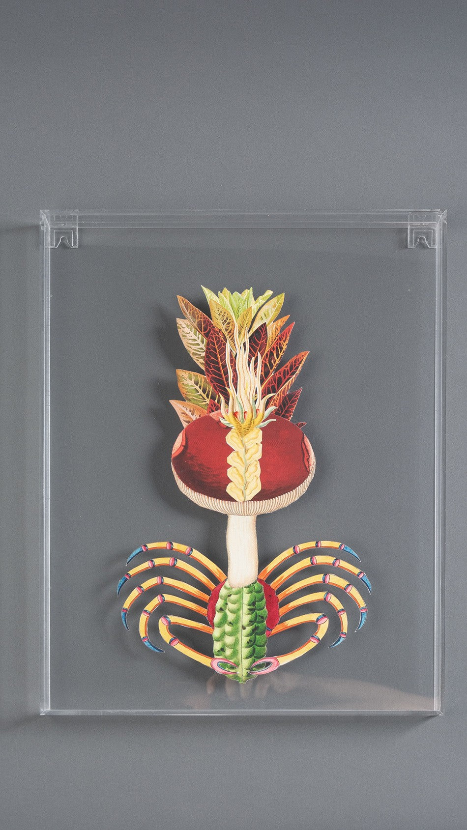 QUADRO FORMA HÍBRIDAS G