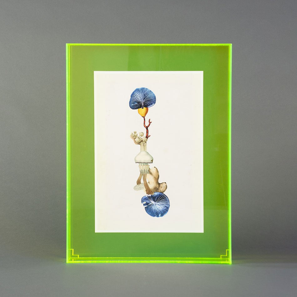 QUADRO FORMAS HÍBRIDAS EM CAIXA ACRÍLICO