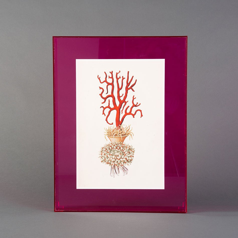 QUADRO FORMAS HÍBRIDAS EM CAIXA ACRÍLICO