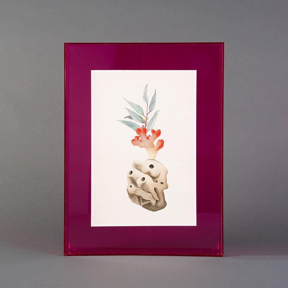 QUADRO FORMAS HÍBRIDAS EM CAIXA ACRÍLICO