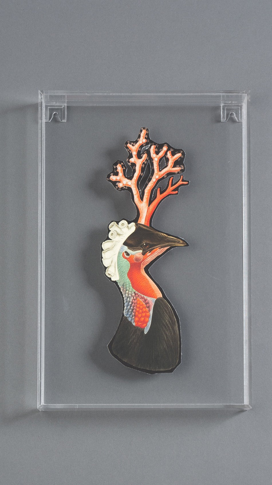 QUADRO FORMA HIBRIDAS M