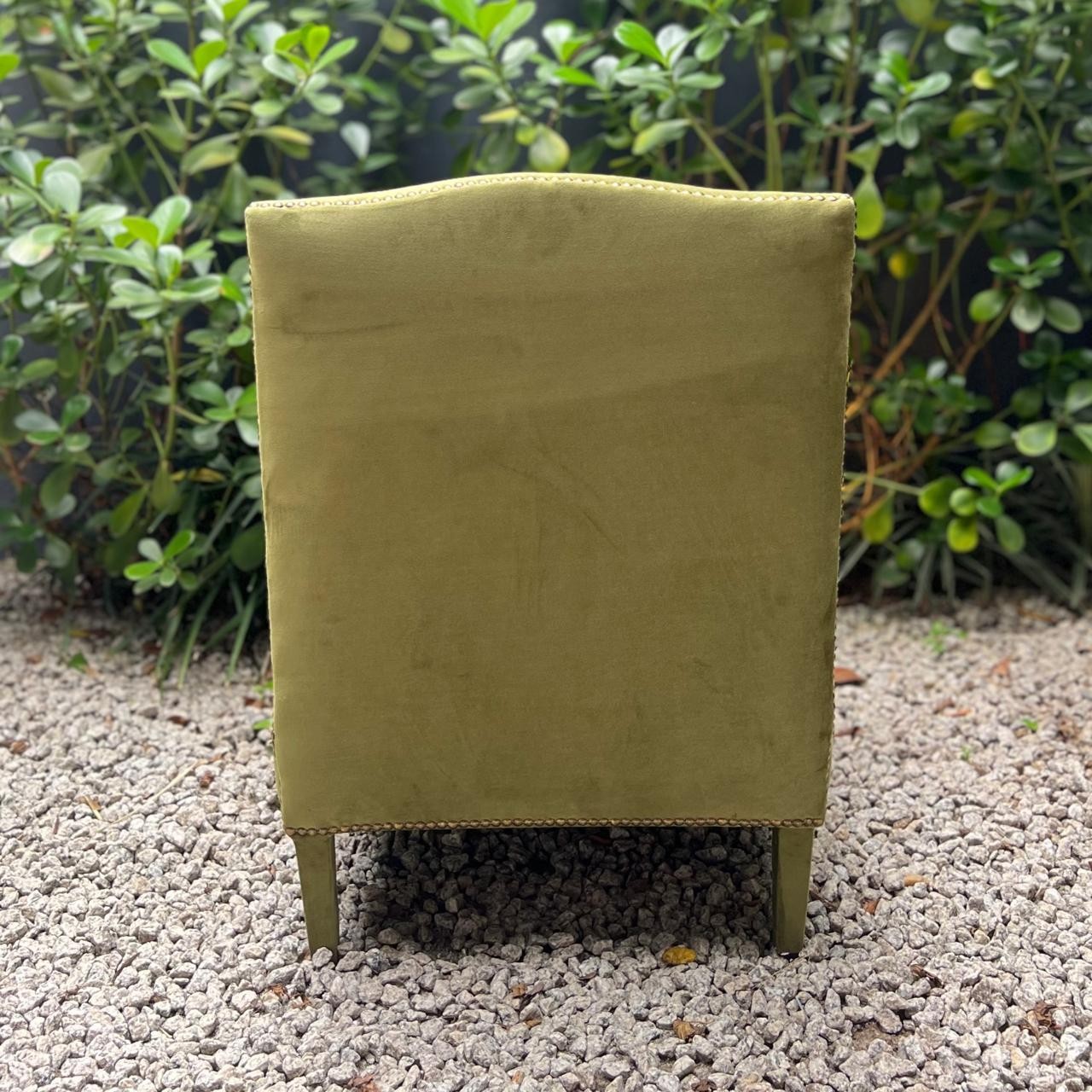 POLTRONA VELUDO PISTACHE COM VIVO