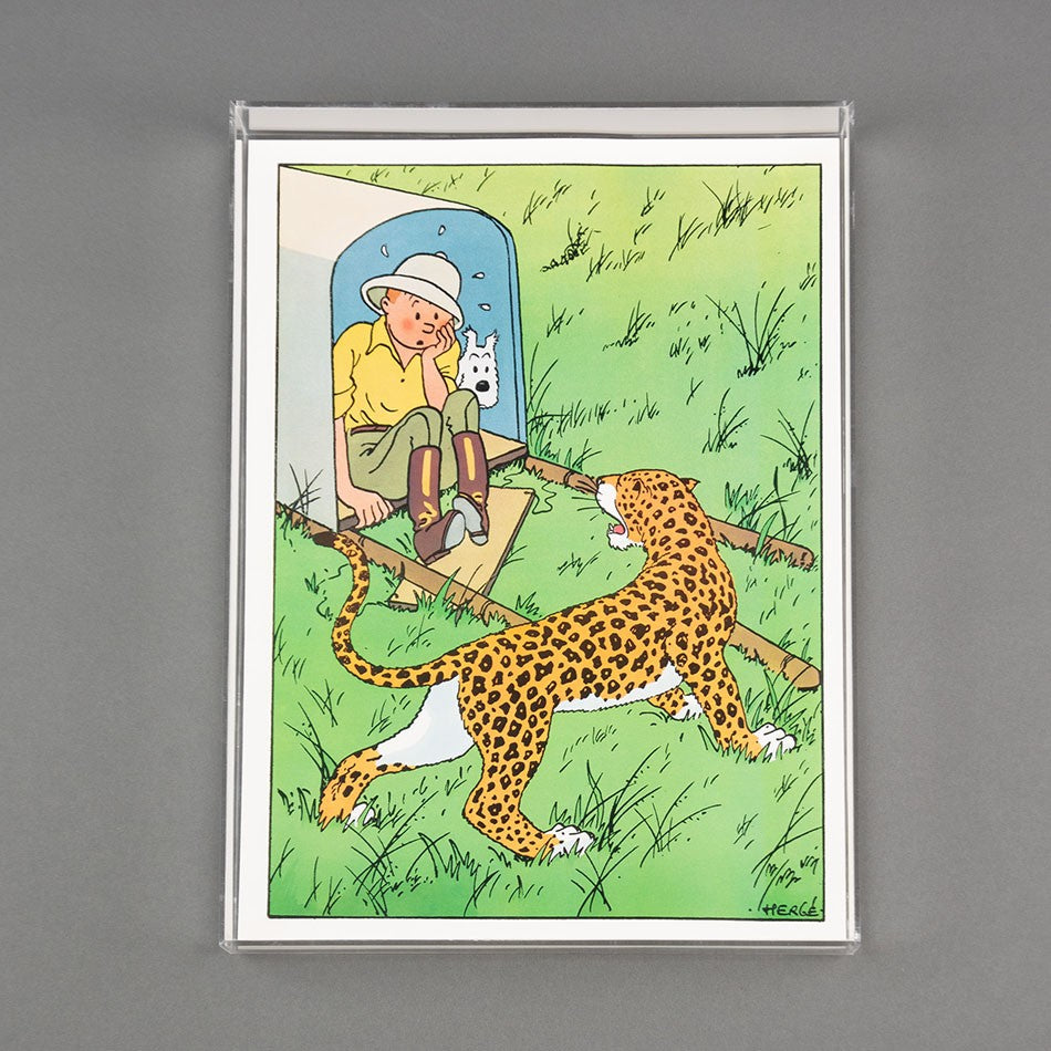 QUADRO TINTIN – Studio Bergamin