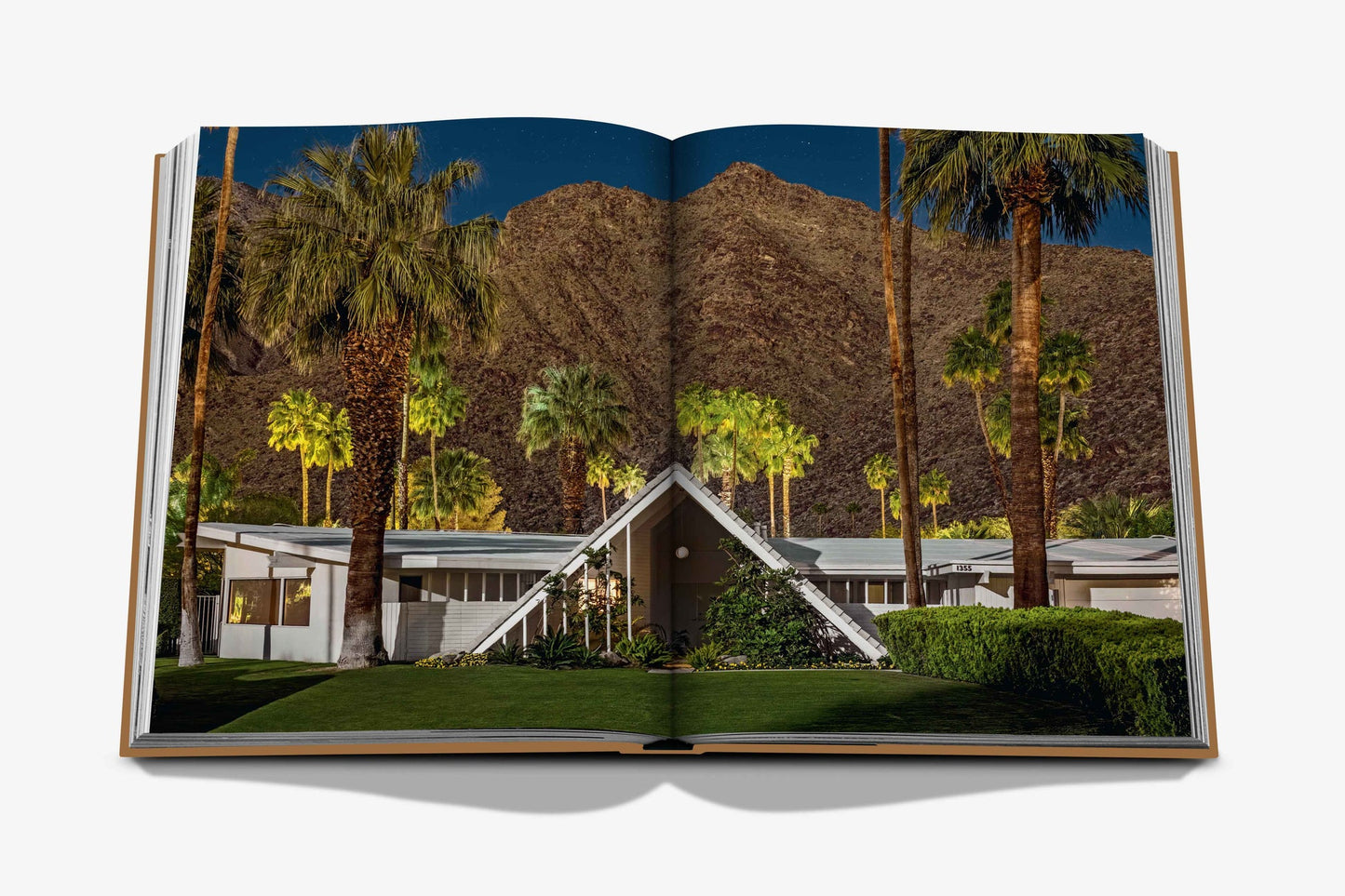 LIVRO TRAVEL SERIES: PALM SPRINGS
