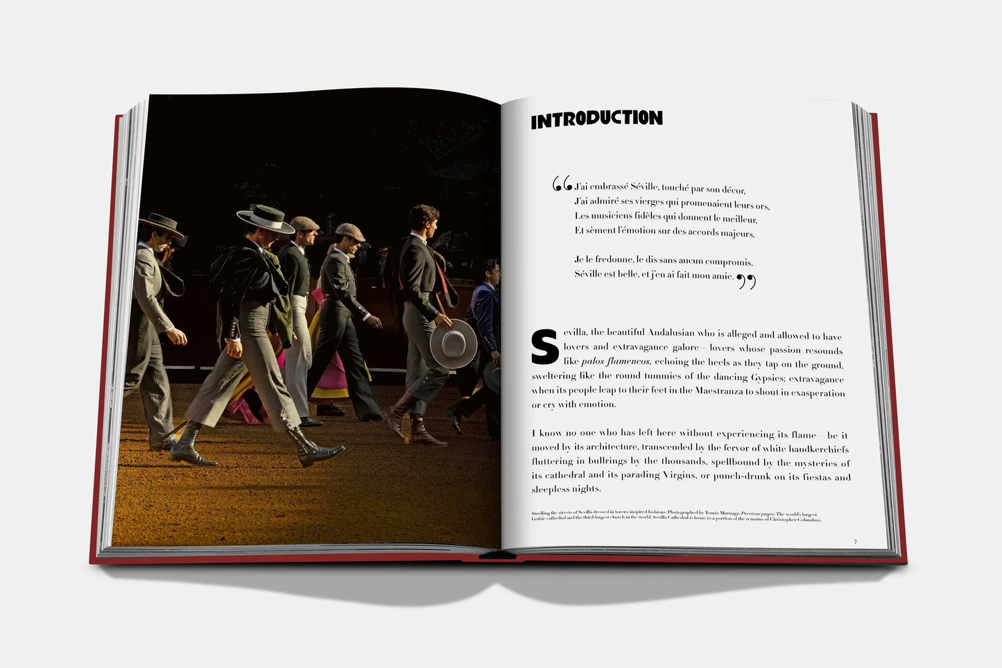LIVRO TRAVEL SERIES: SEVILLA ARTE
