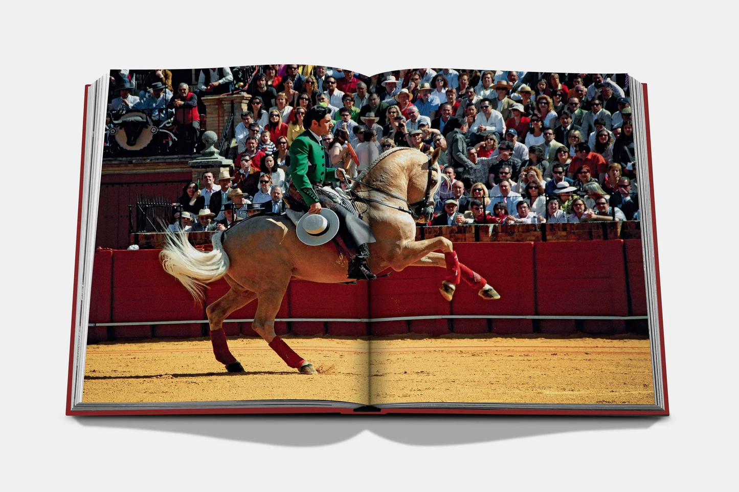 LIVRO TRAVEL SERIES: SEVILLA ARTE