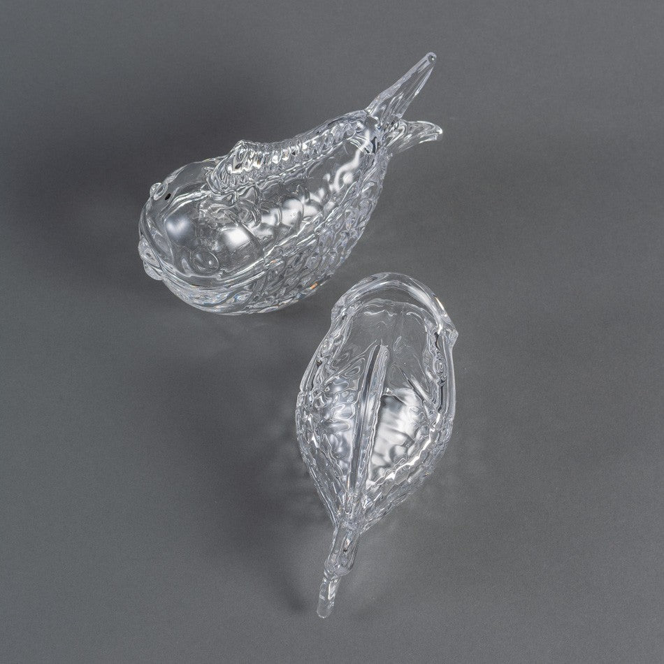 POTE PESCE BOCCA CHIUSA