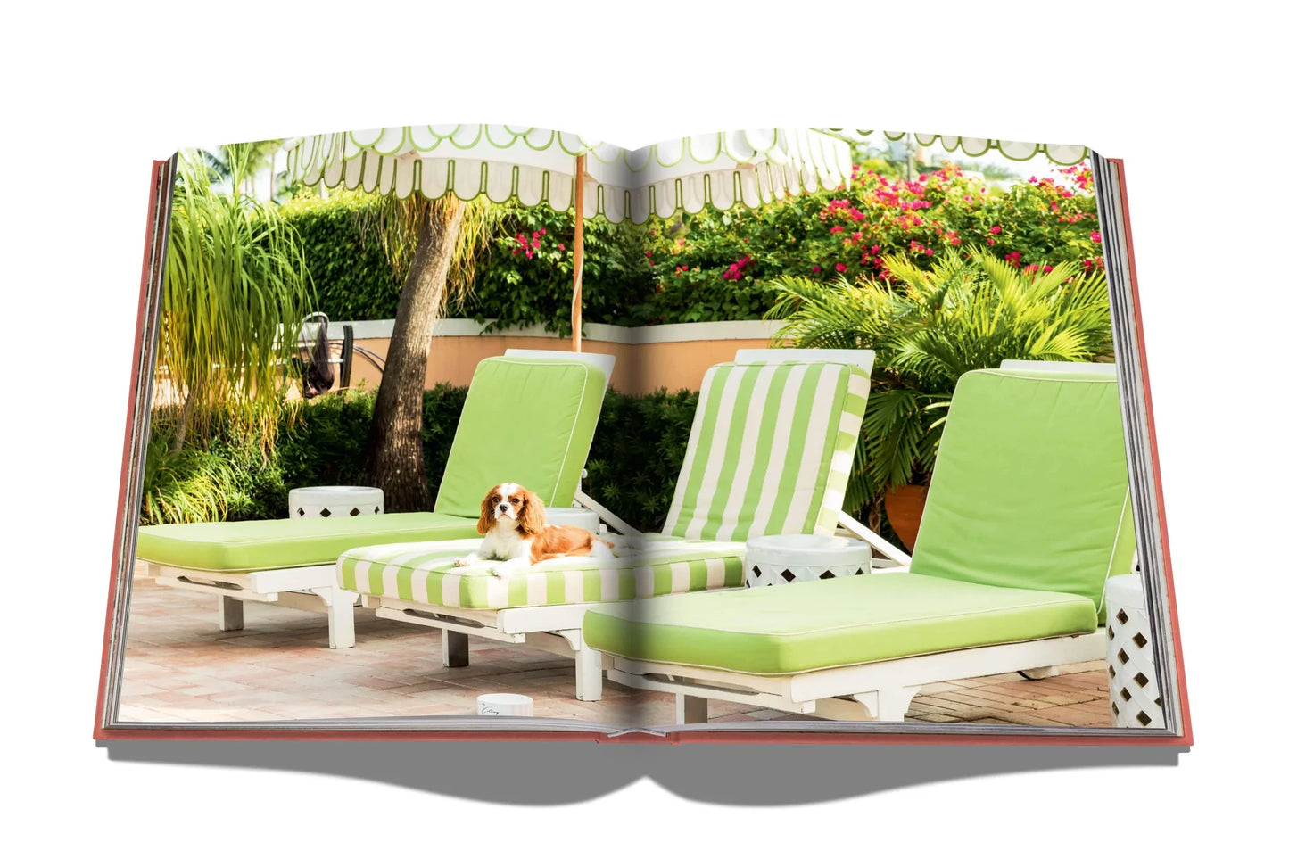 LIVRO TRAVEL SERIES: PALM BEACH