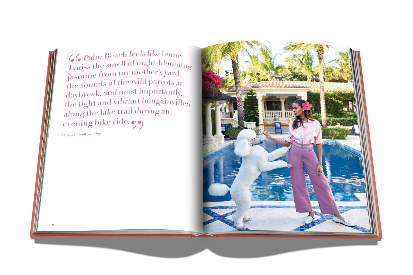 LIVRO TRAVEL SERIES: PALM BEACH