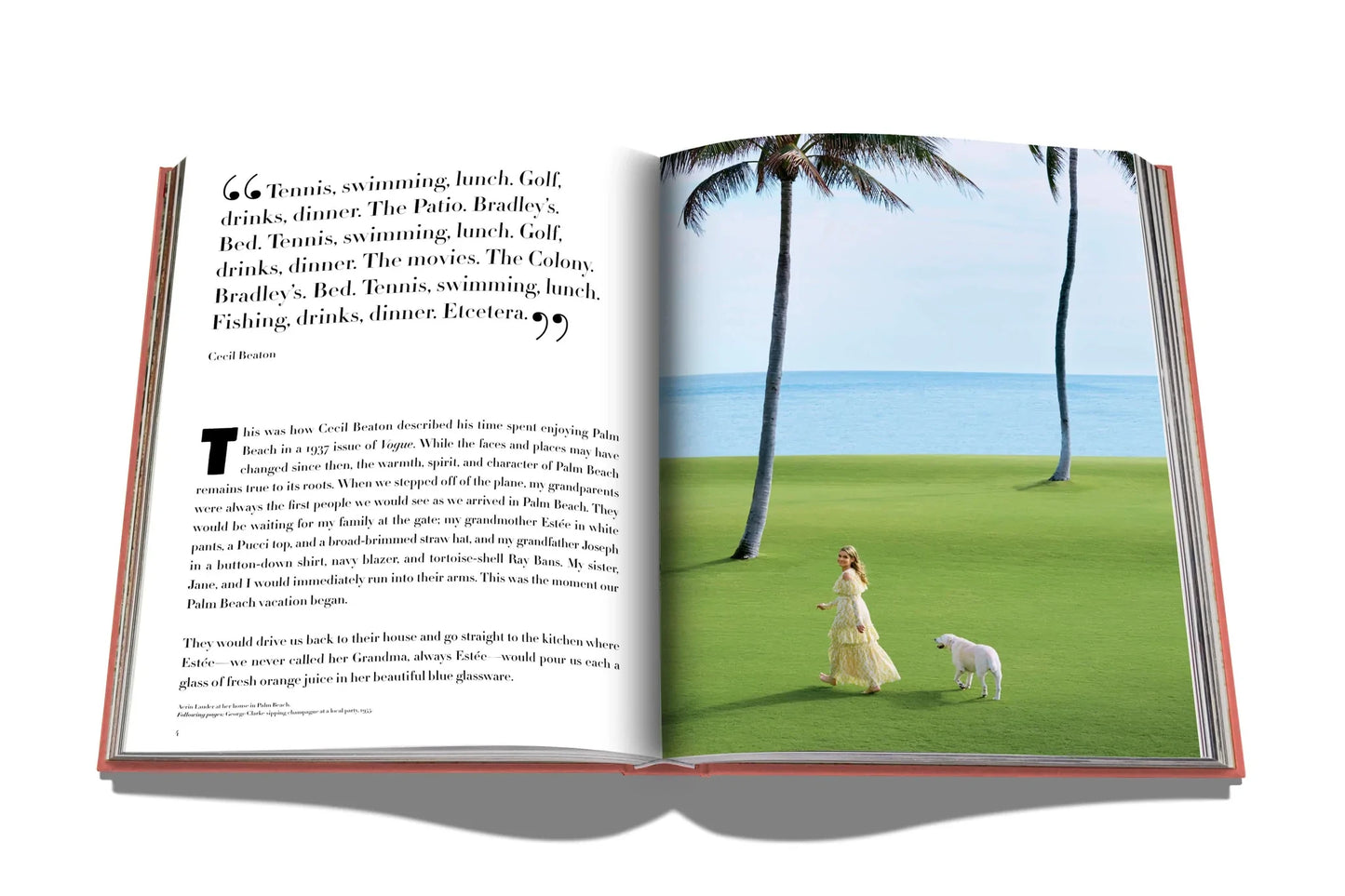 LIVRO TRAVEL SERIES: PALM BEACH
