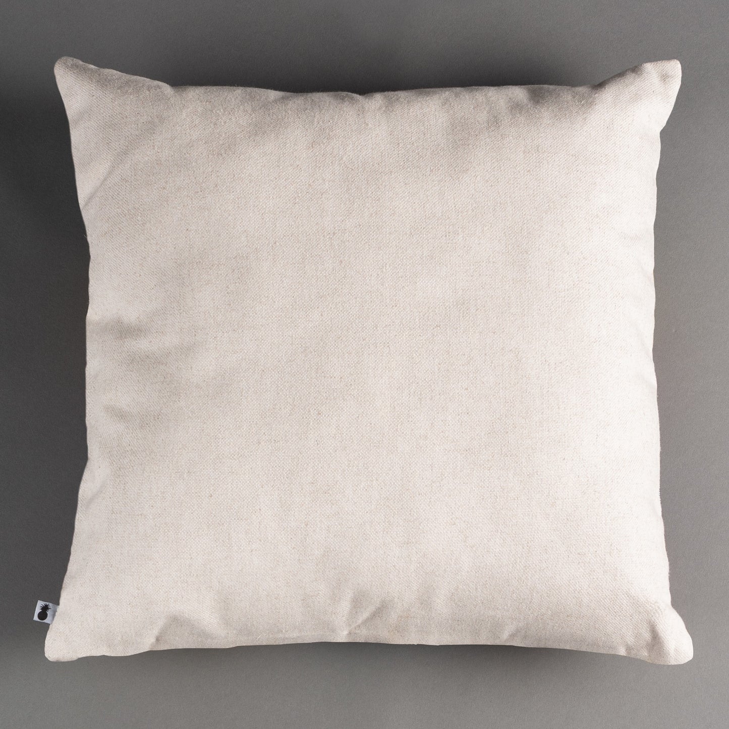 ALMOFADA VELUDO DE SEDA IMPORTADA 50X50