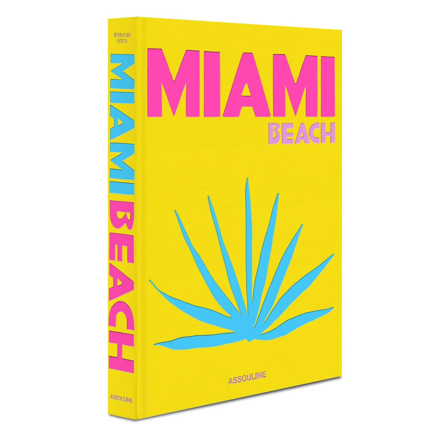 LIVRO TRAVEL SERIES: MIAMI BEACH