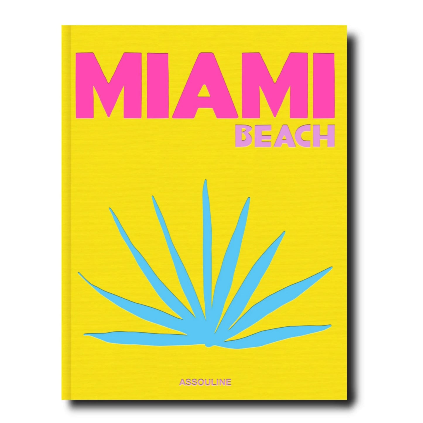 LIVRO TRAVEL SERIES: MIAMI BEACH