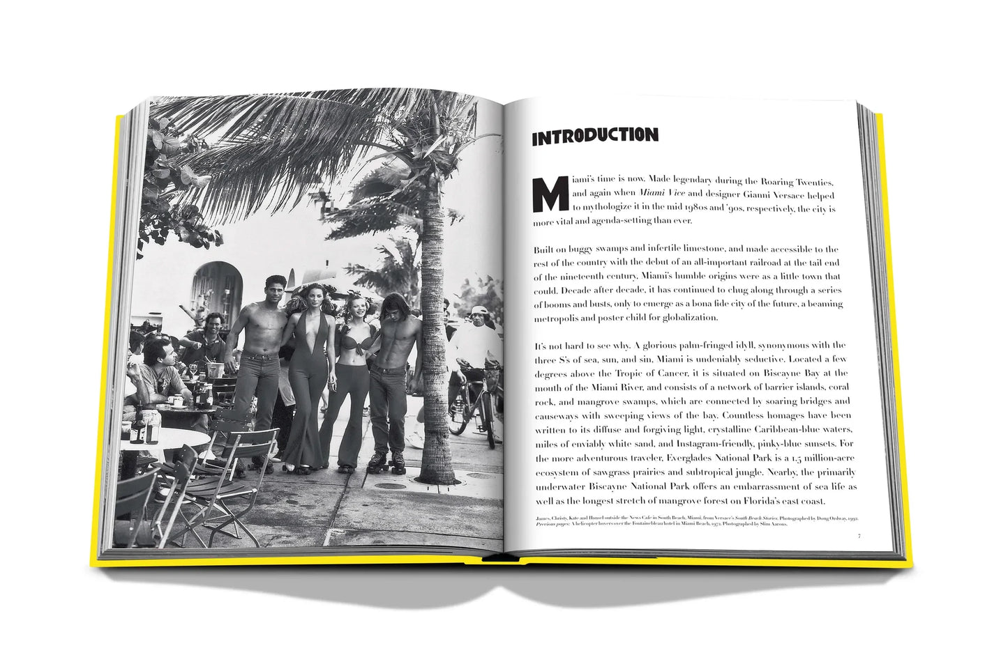 LIVRO TRAVEL SERIES: MIAMI BEACH