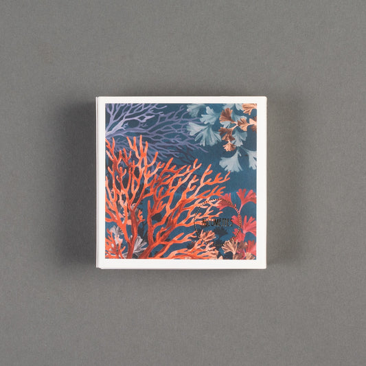 CAIXA DE FÓSFORO FISH QUADRA GOLD