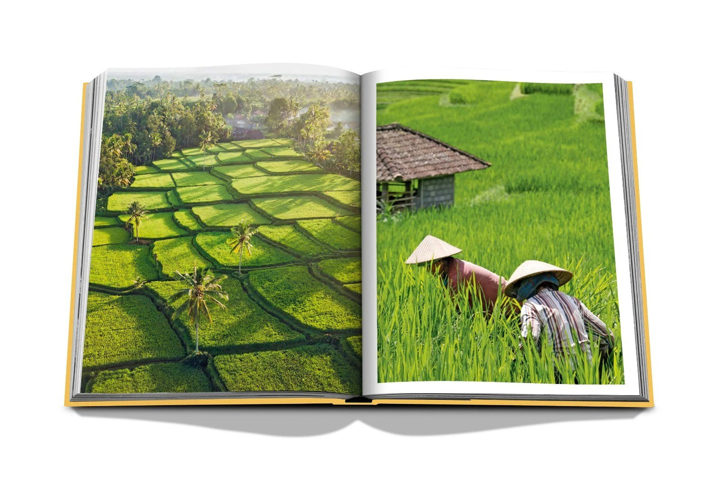 LIVRO TRAVEL SERIES: BALI MYSTIQUE