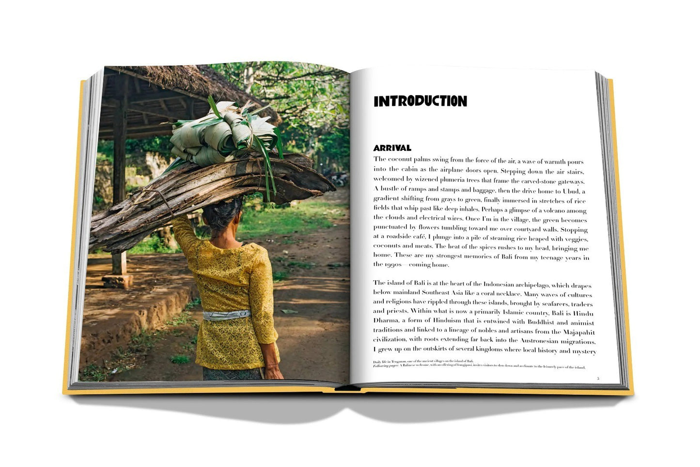 LIVRO TRAVEL SERIES: BALI MYSTIQUE