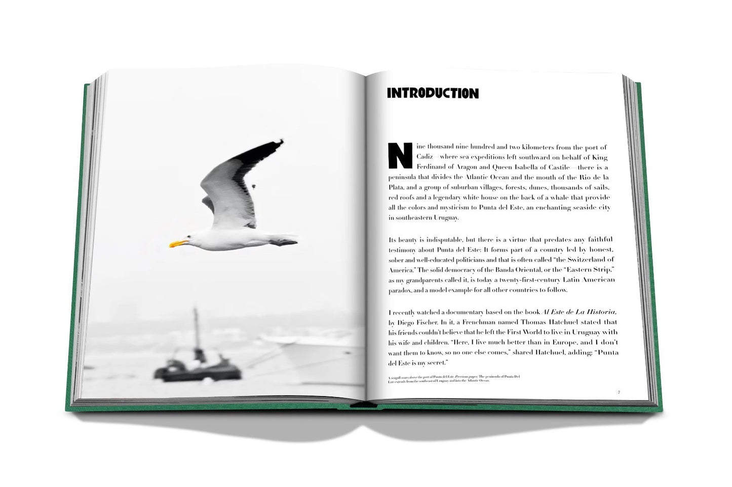 LIVRO TRAVEL SERIES: PUNTA DEL ESTE