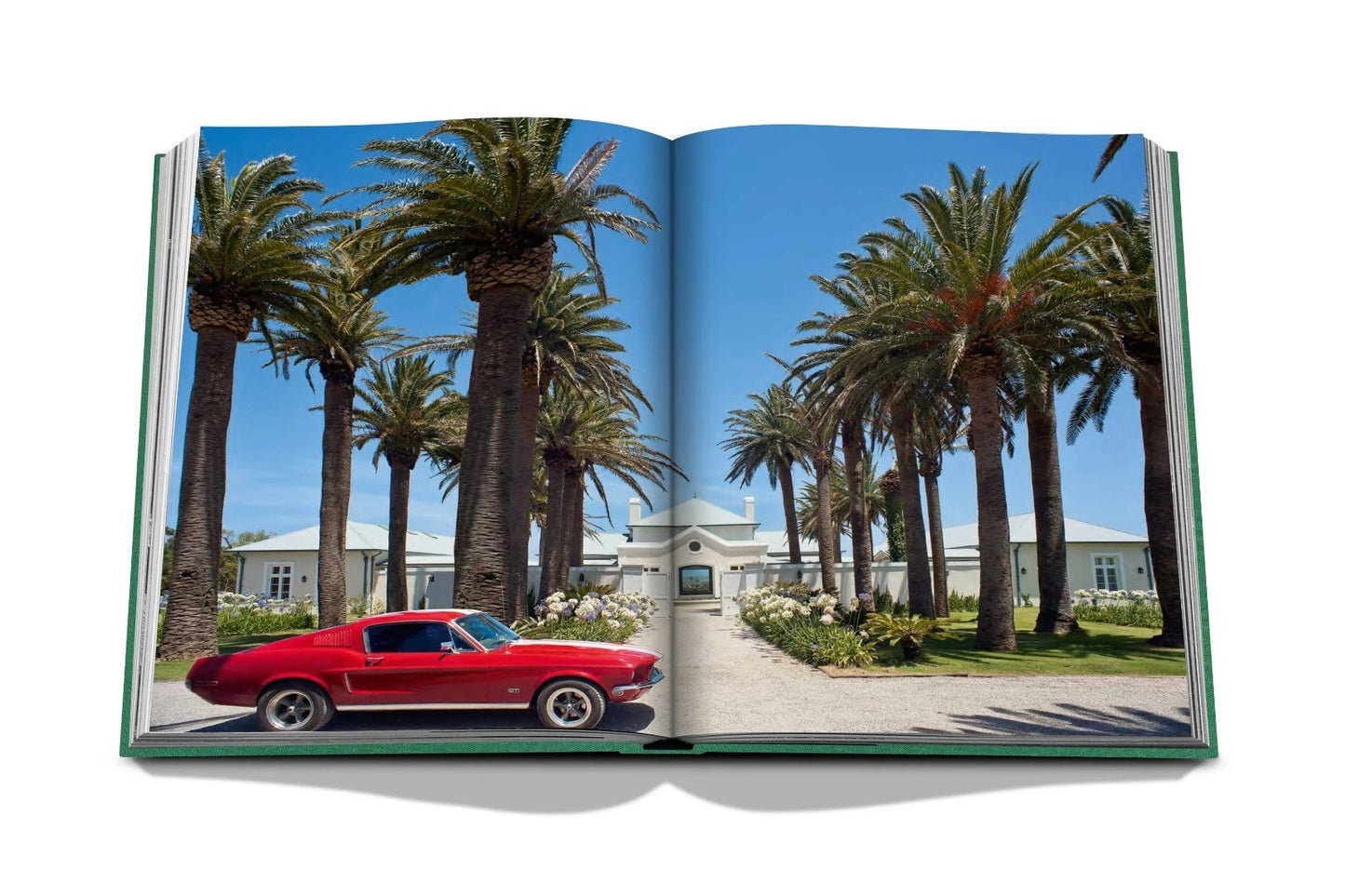 LIVRO TRAVEL SERIES: PUNTA DEL ESTE