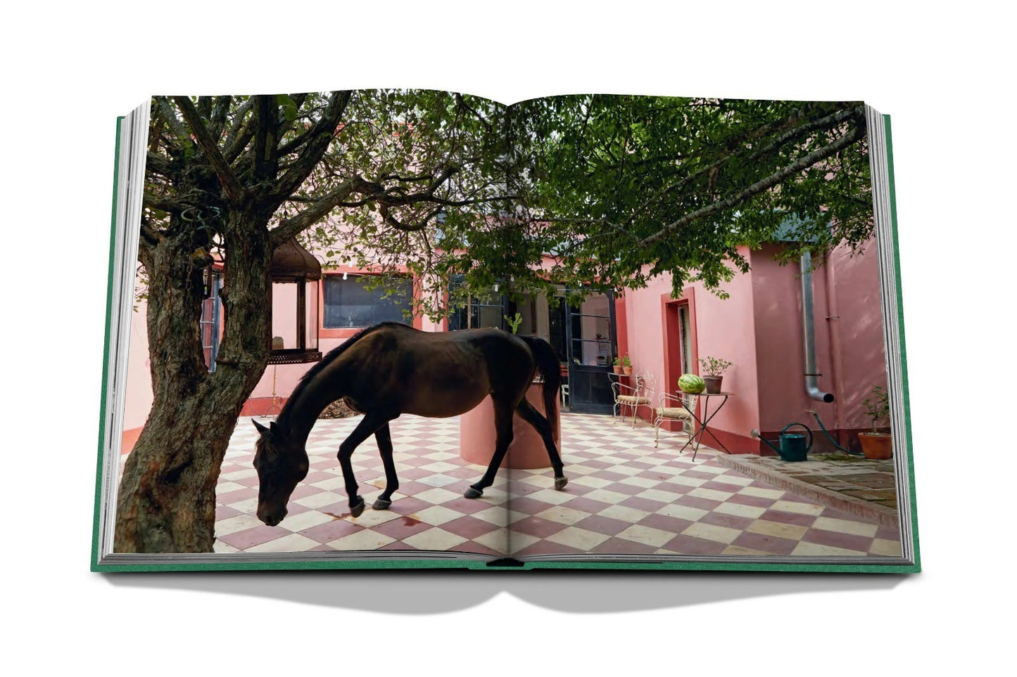 LIVRO TRAVEL SERIES: PUNTA DEL ESTE
