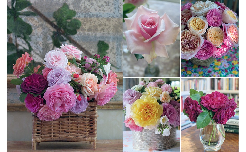 LIVRO CHARLOTTE MOSS FLOWERS