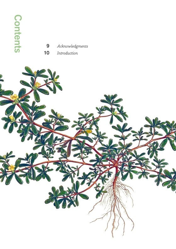 LIVRO HERBAL HANDBOOK: 50 PROFILES IN WORDS AND ART FROM THE RARE BOOK COLLECTIONS OF THE NEW YORK BOTANICAL GARDEN