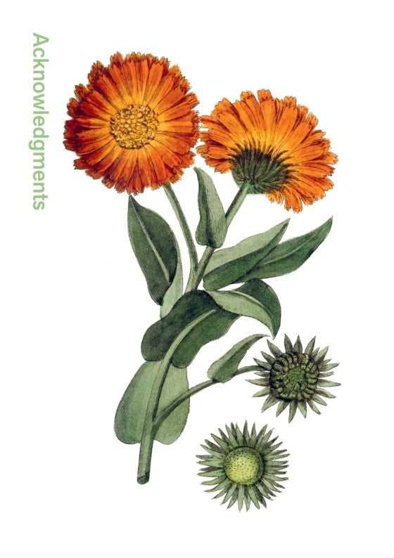 LIVRO HERBAL HANDBOOK: 50 PROFILES IN WORDS AND ART FROM THE RARE BOOK COLLECTIONS OF THE NEW YORK BOTANICAL GARDEN