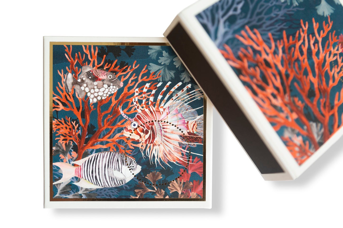 CAIXA DE FÓSFORO FISH QUADRA GOLD