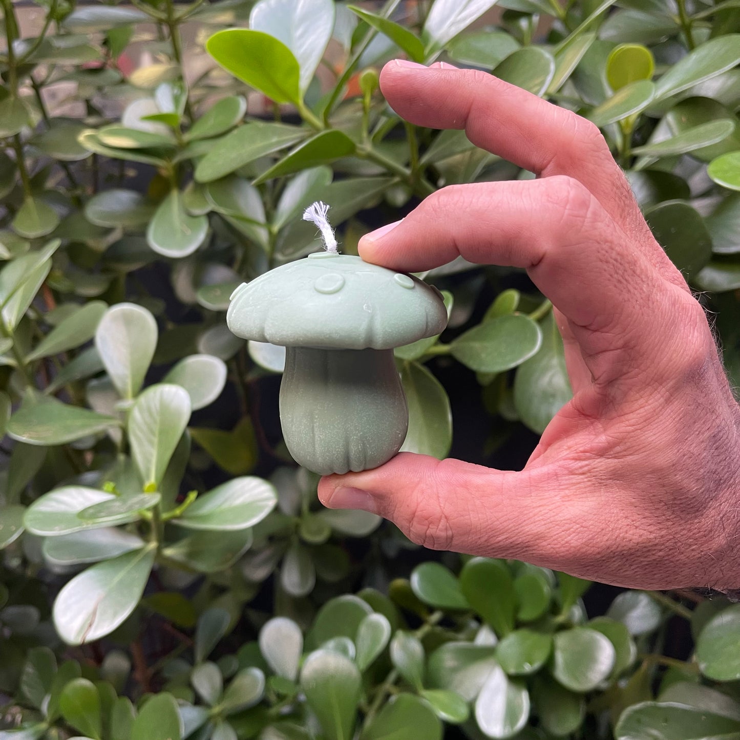 VELA COGUMELO P - VERDE