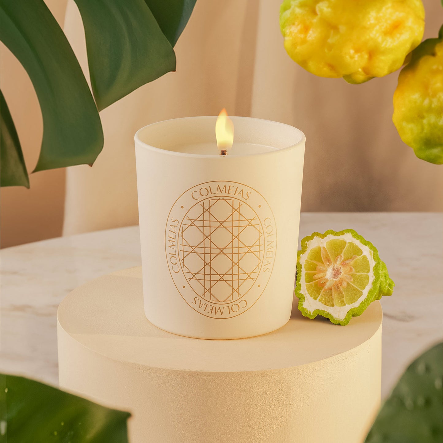 VELA AROMÁTICA WILD PARADISE