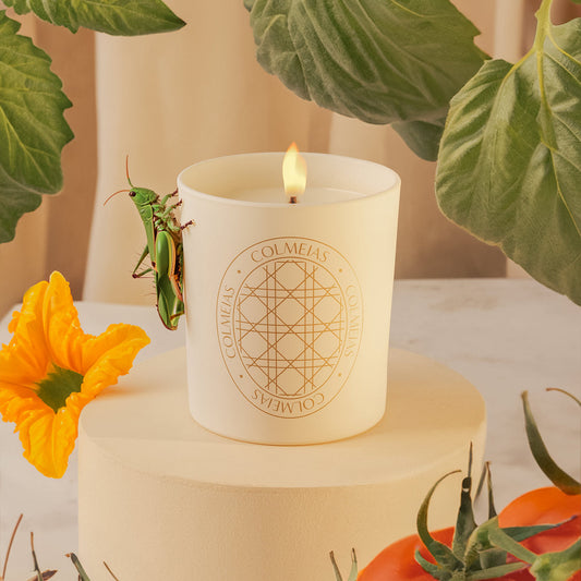 VELA AROMÁTICA HORTUS DELICARIUM