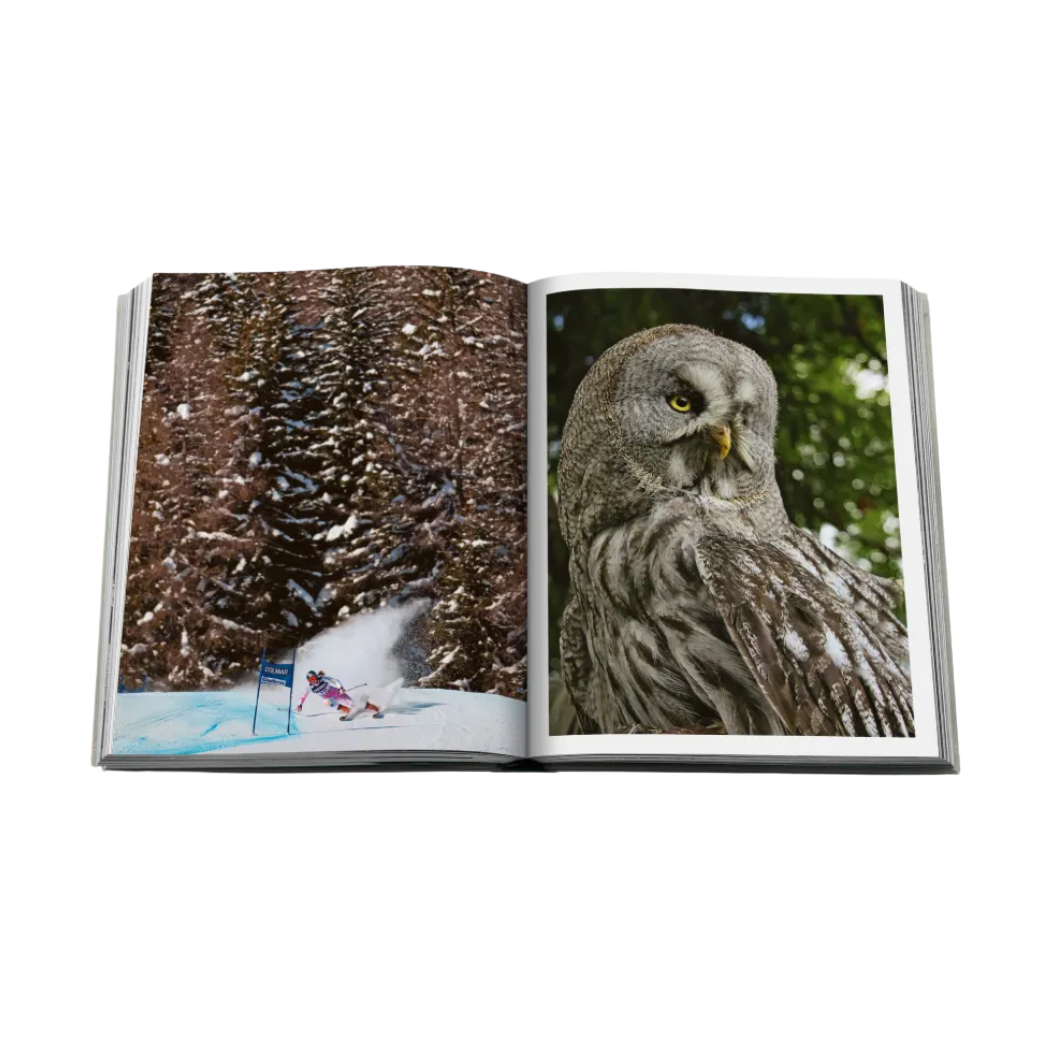 LIVRO TRAVEL SERIES:  CORTINA DAMPEZZO