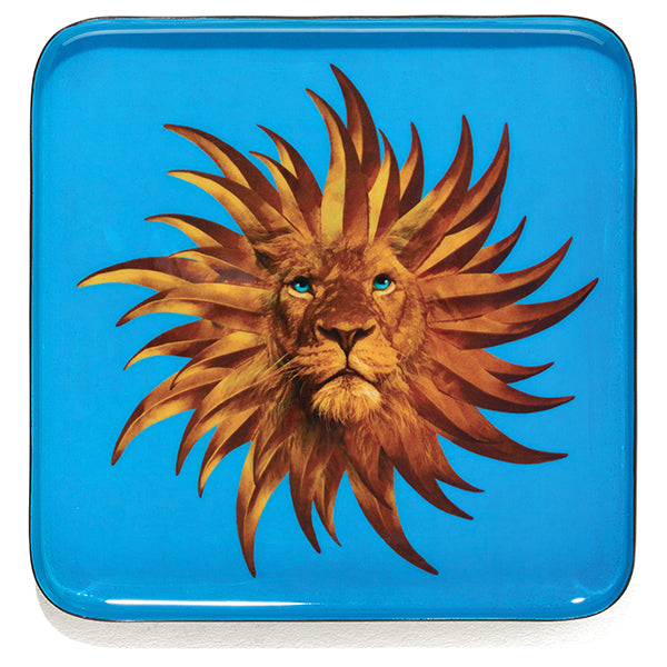 BANDEJA  QUADRATTA SOLARKING