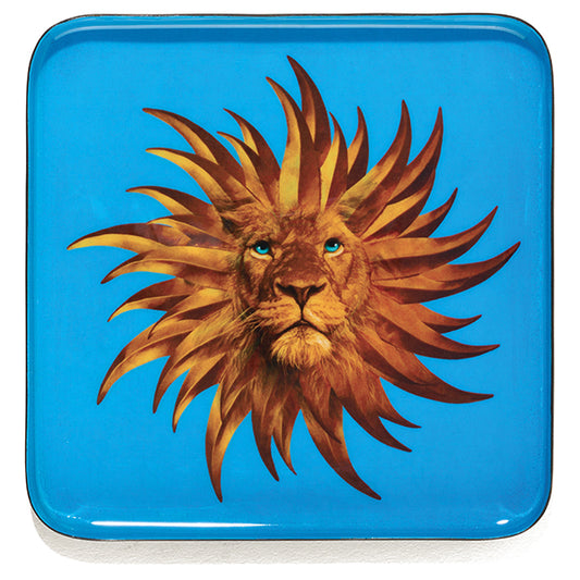 BANDEJA  QUADRATTA SOLARKING