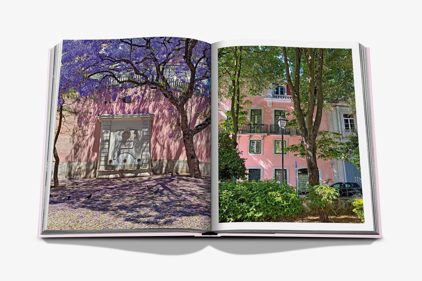 LIVRO TRAVEL SERIES: LISBOA LUZ