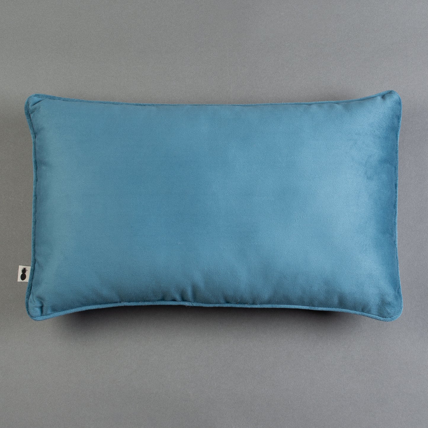 ALMOFADA VELUDO - AZUL CLARO (NUOVO) 50x30cm