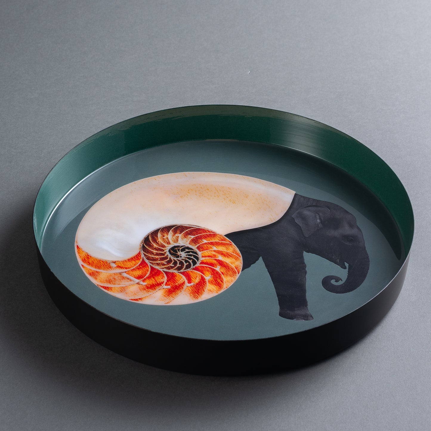 BANDEJA  CIRCOLARE SHELLEPHANT