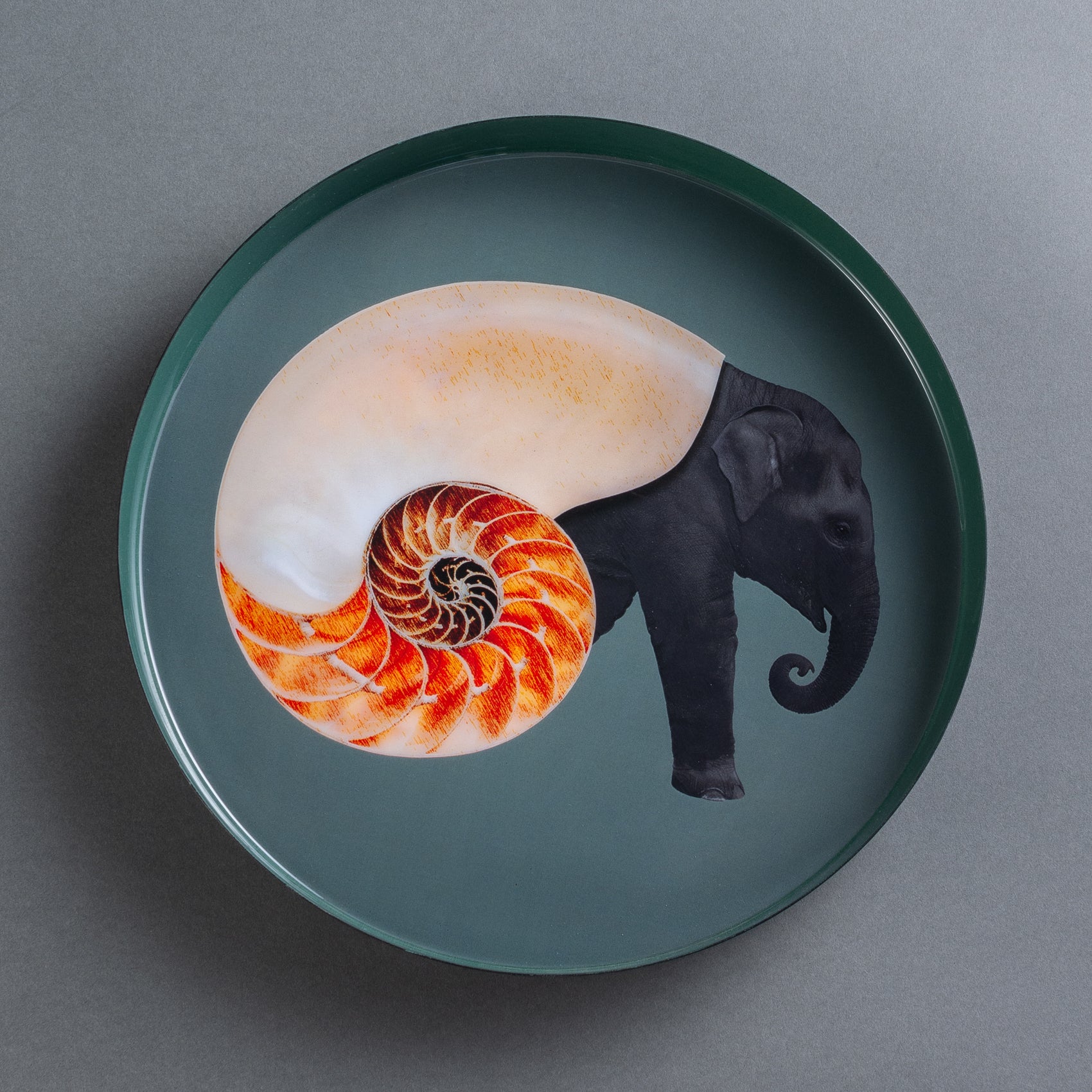 BANDEJA  CIRCOLARE SHELLEPHANT