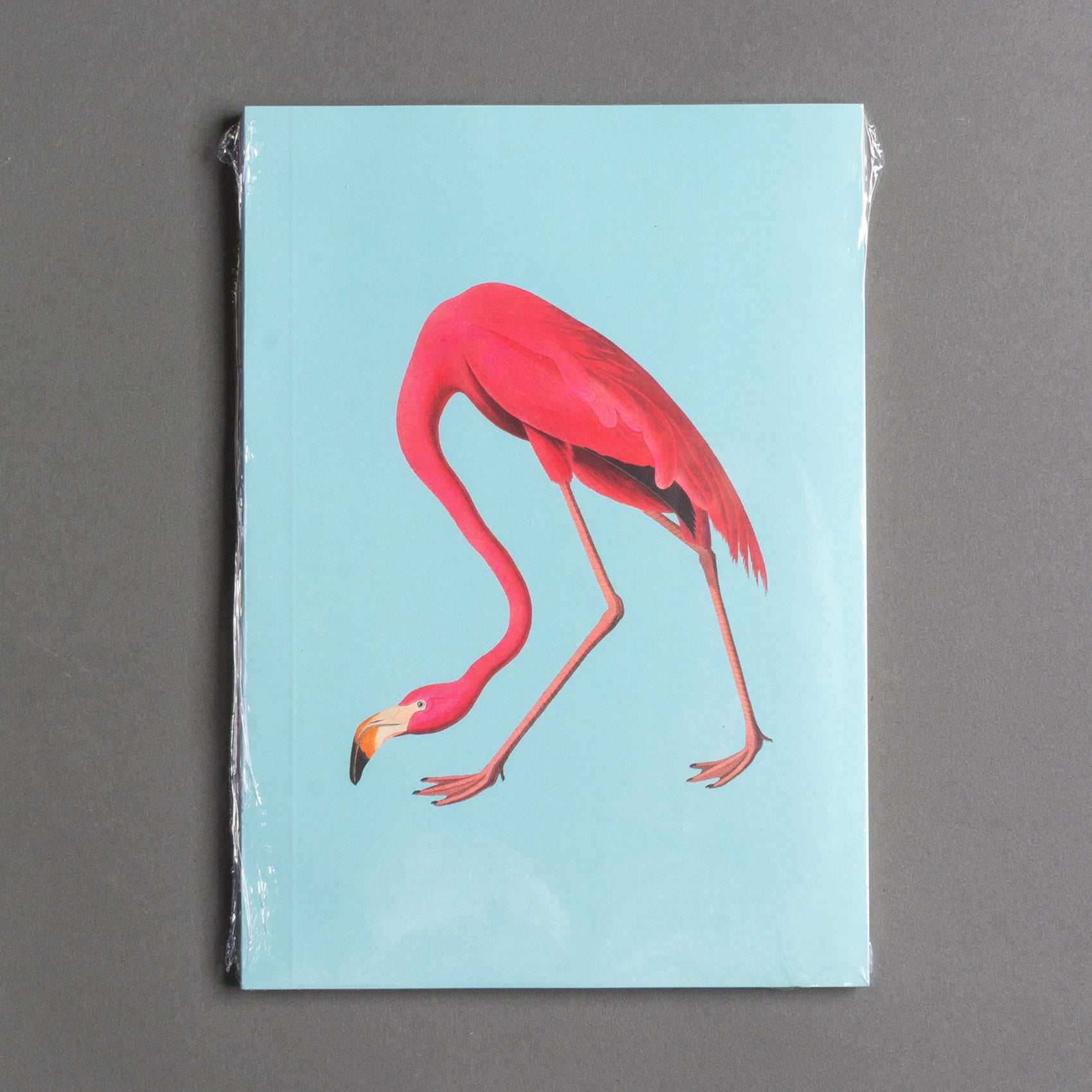 CADERNO  FLAMINGO