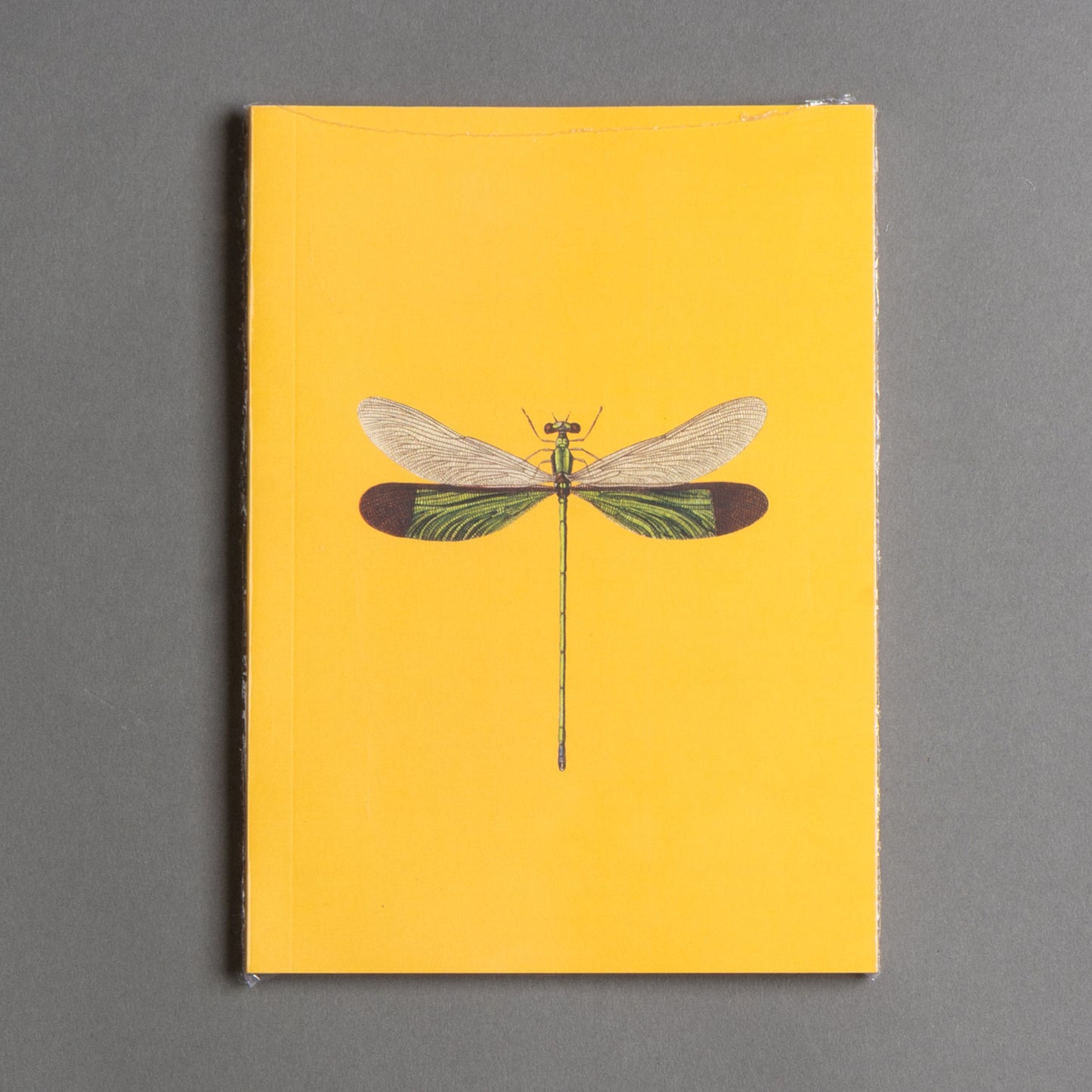 CADERNO LIBÉLULA
