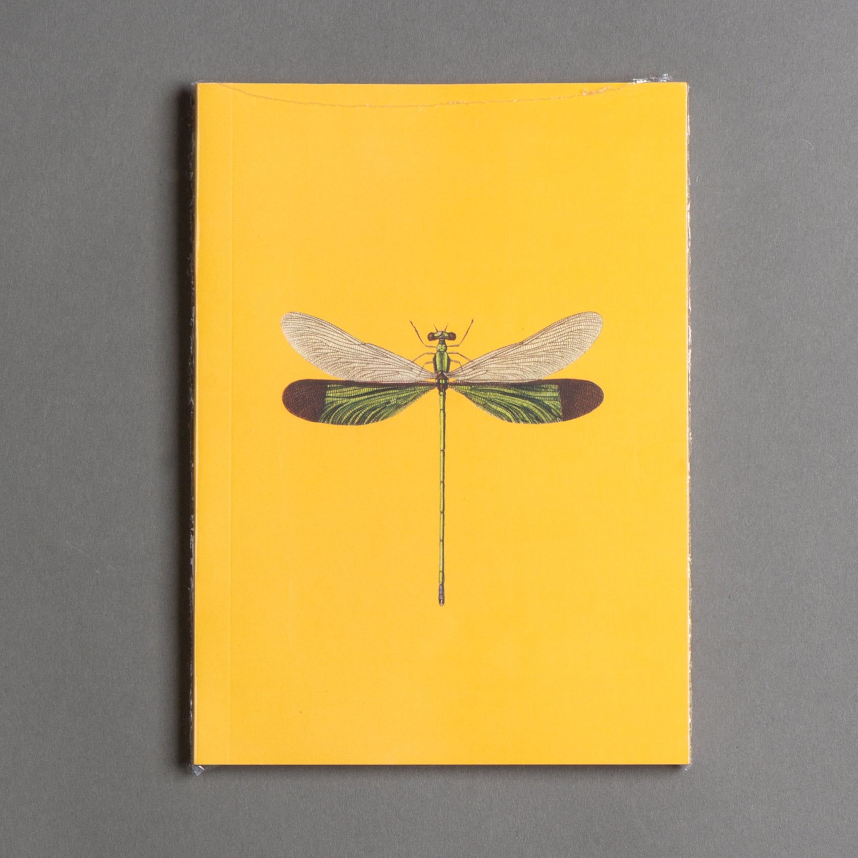 CADERNO LIBÉLULA