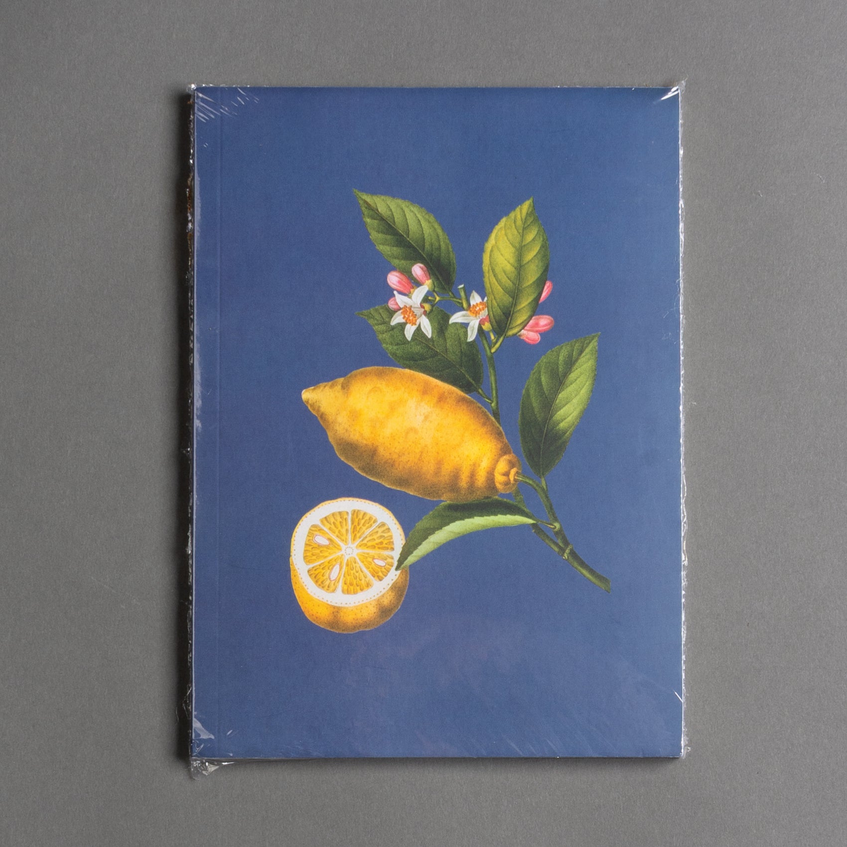 CADERNO LIMÃO SICILIANO