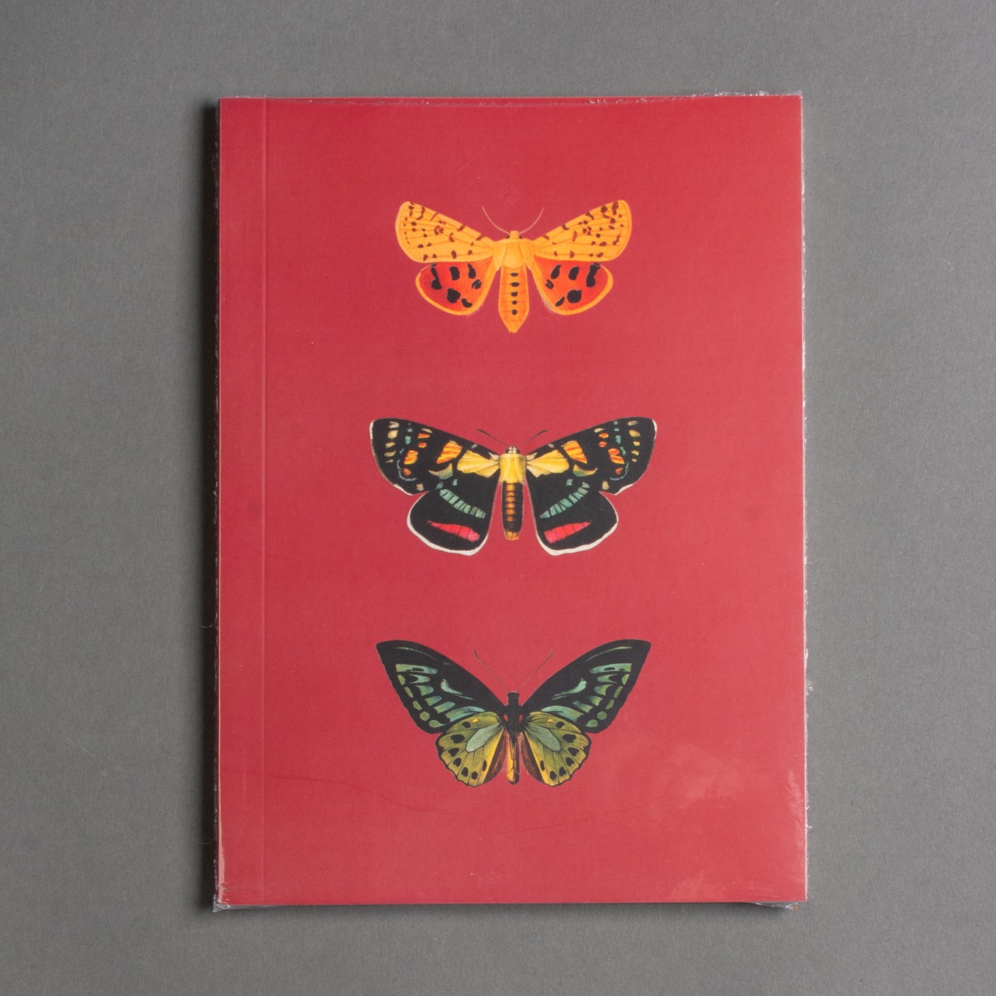 CADERNO BORBOLETAS