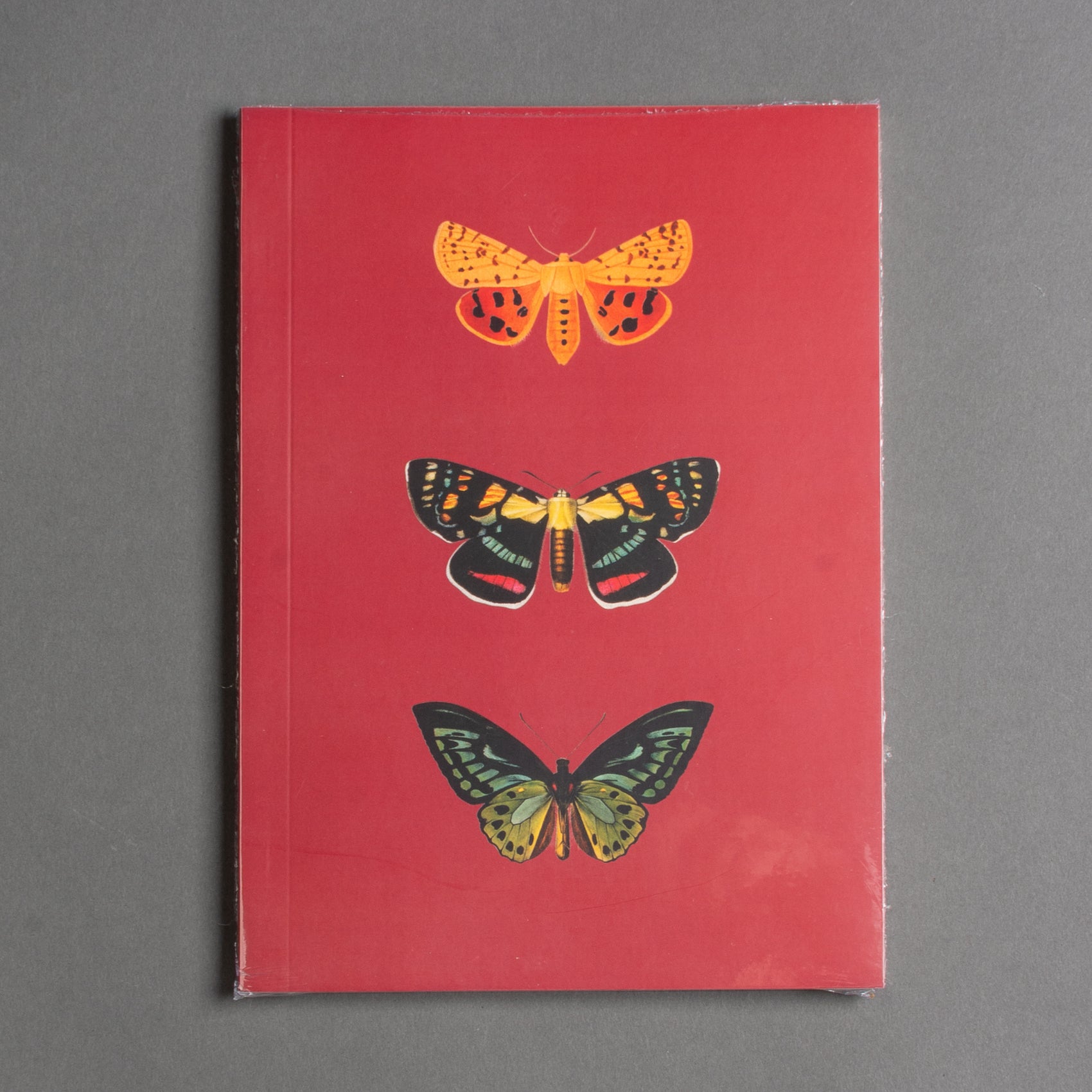 CADERNO BORBOLETAS