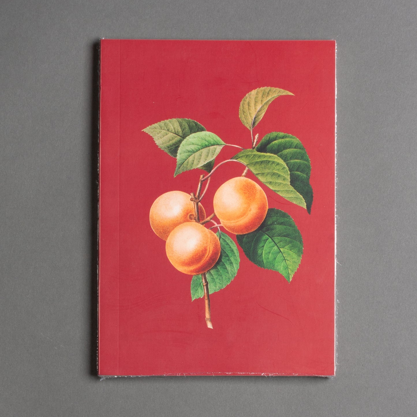 CADERNO DAMASCO